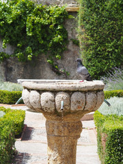 Monastère de Cimiez, Nice, France