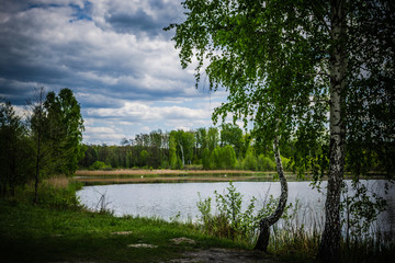 Obraz premium Beautiful lake in a green forest
