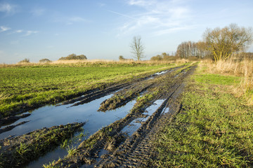 Fototapeta na wymiar Water and mud on a dirt road