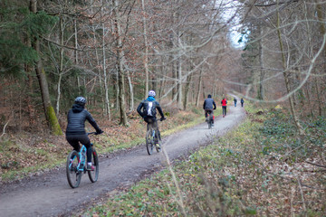 sport in forest park