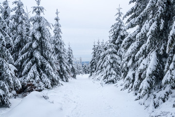 Winter wonderland in Owl Mountains - Poland