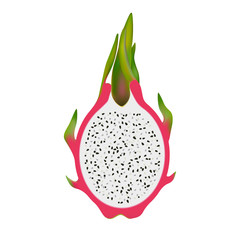 Isolated half of dragon fruit, pitaya, pitahaya on white background. Realistic colored slice.