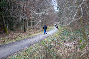 sport in forest park