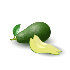 Isolated realistic colored whole juicy avocado with stick and green leaf and slices with shadow on white background. Side view.