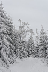 Winter wonderland in Owl Mountains - Poland © Marek Durajczyk