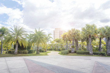 Obraz premium Walkway in park. Landscape with jogging track and bicycle lane at green park