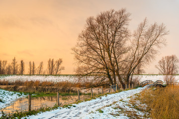 Picturesque winter landscape in a rural area