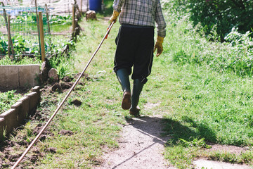 The gardener