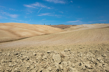 Plowed field ready to be cultivated in Val d'Orcia, Tuscany