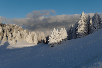 Neige au Semnoz