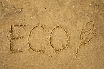 Word ECO frawn on sandy yellow beach. Concept of eco safe lifestyle