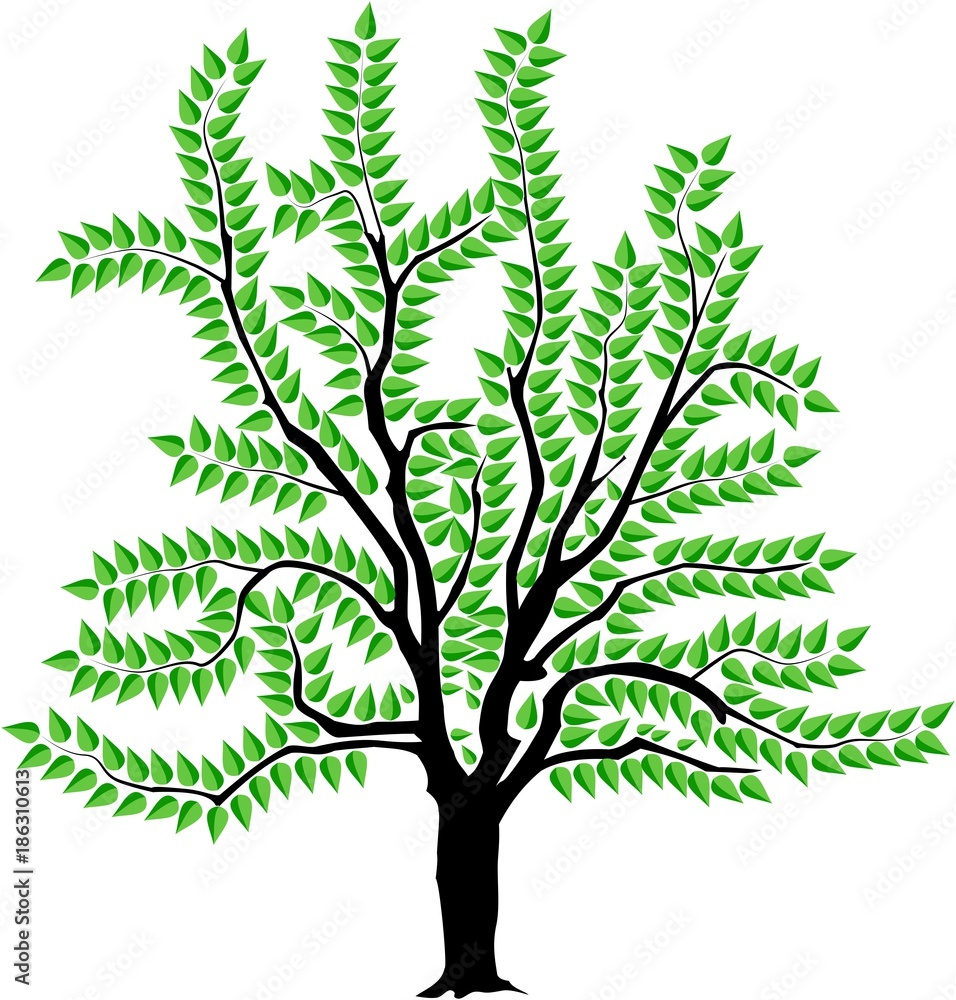 Wall mural vector image of a tree in summer