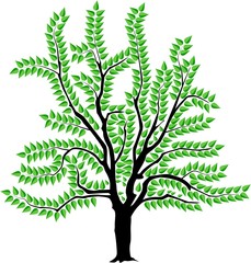 vector image of a tree in summer