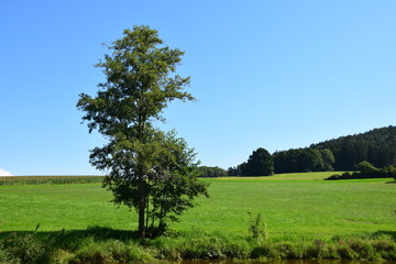 Landschaft bei Thierling in der Oberpfalz 