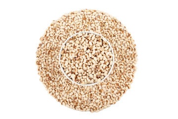 white kidney bean