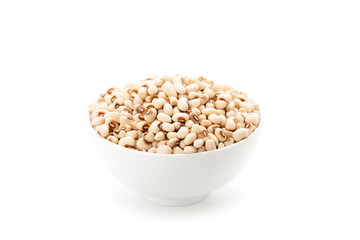 white kidney bean
