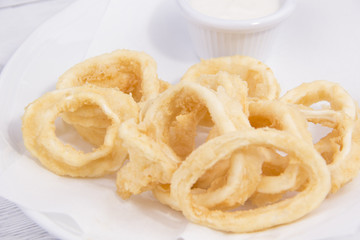 Calamari fried