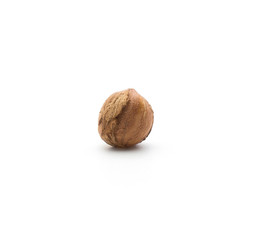 One shelled hazelnut brown isolated on white background.