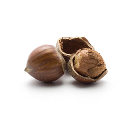 One shelled hazelnut inside a shell and unshelled one isolated on white background.