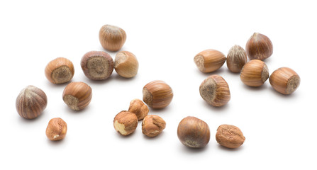 Hazelnuts isolated on white background.