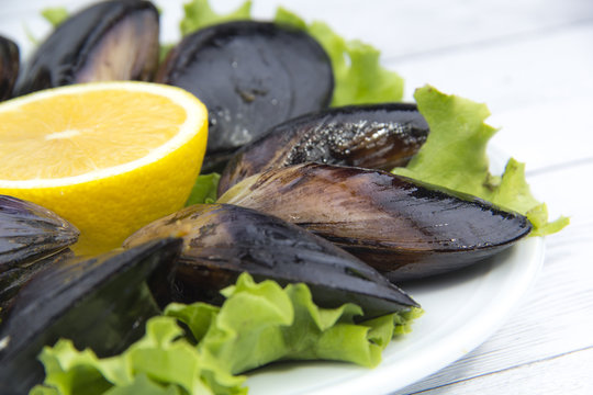 Steamed mussels