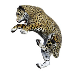 3D Rendering Big Cat Jaguar on White