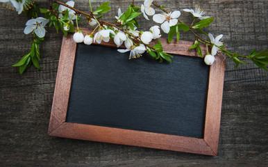 Spring cherries blossom and blackboard