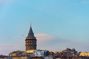 Naklejka premium Galata tower and the buildings around