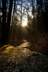 Naklejka premium 2012207