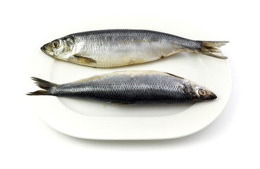 Salted herrings on the plate, isolated on white background.