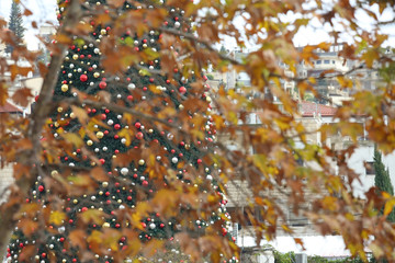 New Year and Christmas in Nazareth
