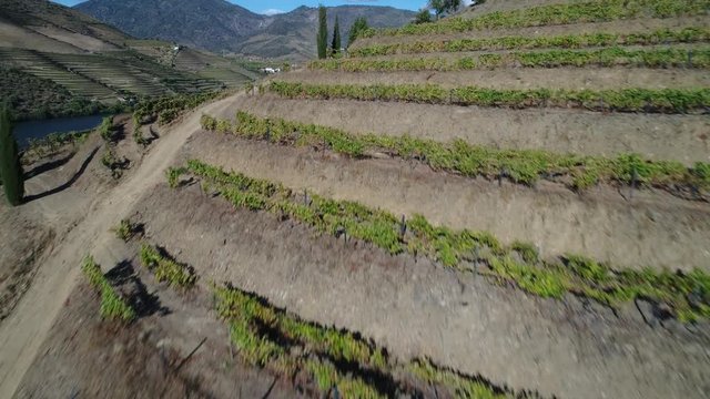 Aerial view of the Douro River and the surrounding terraced slopes in Portugal, Europe; Concept for travel in Portugal and the Douro Region
