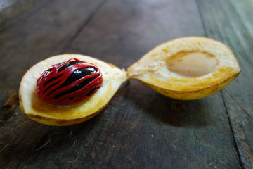 Nutmeg raw at the island of Grenada