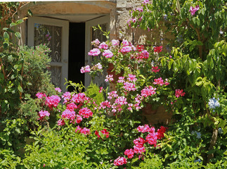 Fototapeta na wymiar Façade de maison fleurie en été