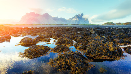 Famous place near Stokksnes mountains. Vestrahorn cape, Iceland. Landscape photography