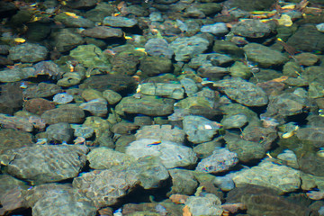 Ile de la Réunion, océan Indien, le Sud Sauvage, pitons, remparts, falaises ... Le Cap Jaune menaçant, les bassins de Langevin comme merveille de la nature