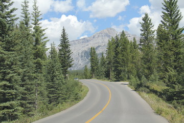 Road to the mountains