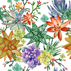 succulents seamless pattern. cactus plants watercolor illustration