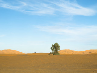 Fototapeta na wymiar Wüste Erg Chebbi Marokko