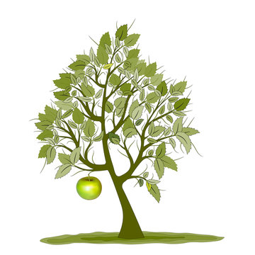Illustration of abstract apple tree. Vector. Ai10