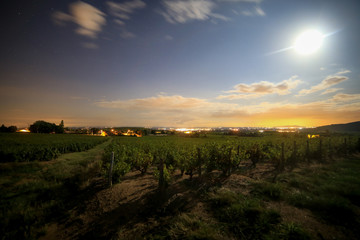 french vineyard at night