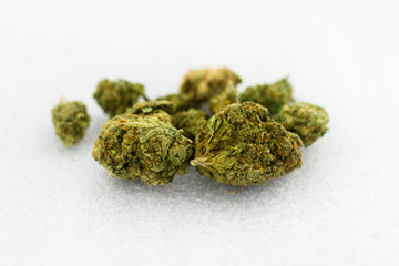 Medical Flowers of Cannabis on the white backround.