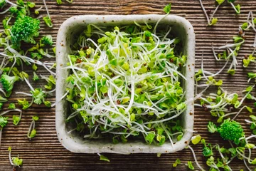 Mixed Sprouts and Broccoli © Serena Tayyan