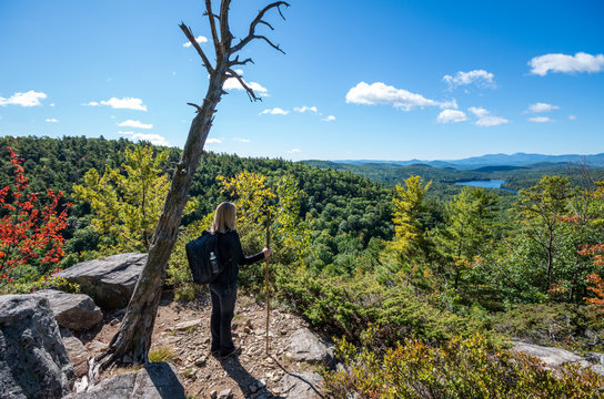 View from the sumit of Rattlesnake mountain