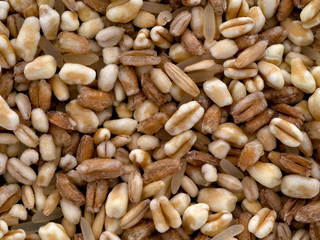 Five grain, cereals mixed. Wheat, spelt, barley, rice and oats.