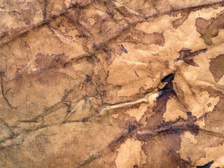 Grunge brown paper stained background.