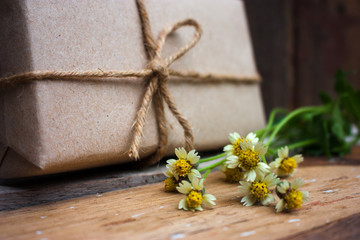 the gift and little tridex daisy flower on old wood background