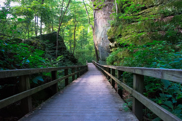 Fototapeta premium Hiking in Illinois