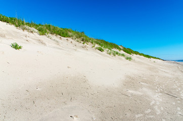 dunes at the outer banks North Carolina