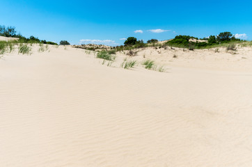 The dunes at Jockey ridge Outer Banks